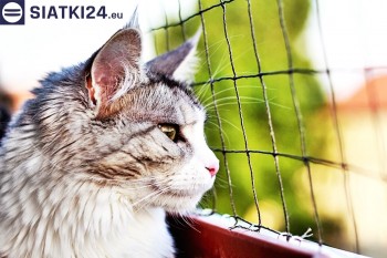 Siatki Krotoszyn - Siatka na balkony dla kota i zabezpieczenie dzieci dla terenów Krotoszyna
