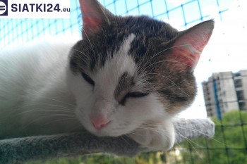 Siatki Krotoszyn - Siatka na balkony dla kota i zabezpieczenie dzieci dla terenów Krotoszyna